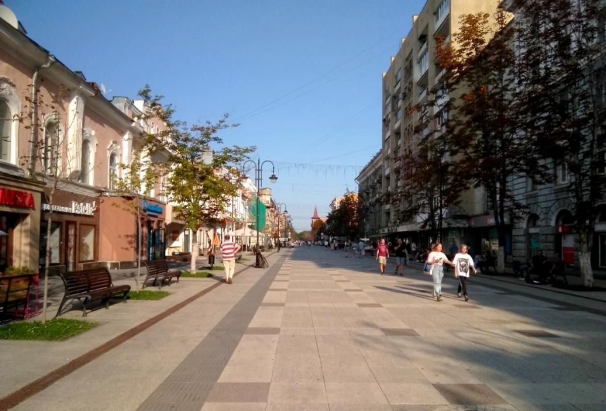 Сетевой опрос: как должна называться главная пешеходная улица Саратова?