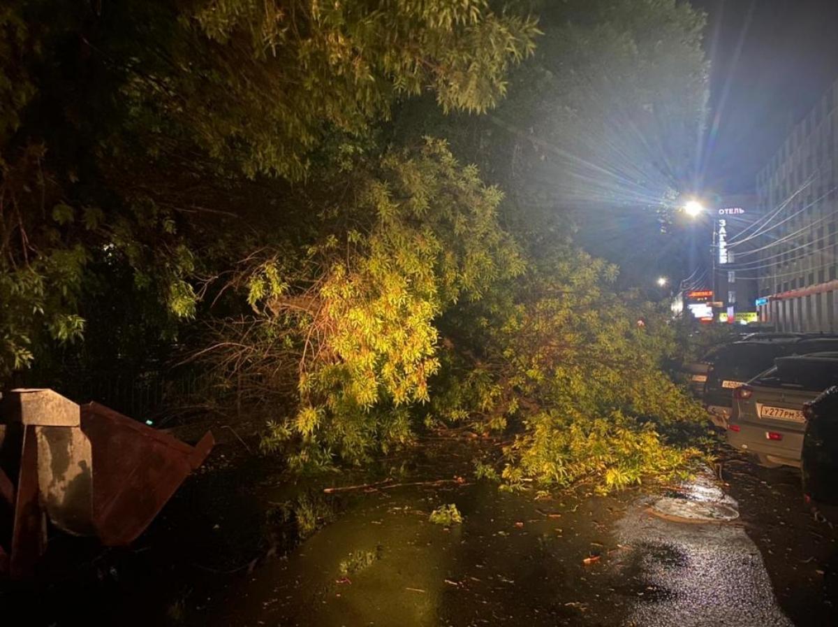 Снег с дождем. Ночью на мокрые деревья упал. Ураган в москве 17 сентября 2020. Деревья загораживают проезд к стройке. Ночью на мокрые деревья упал.