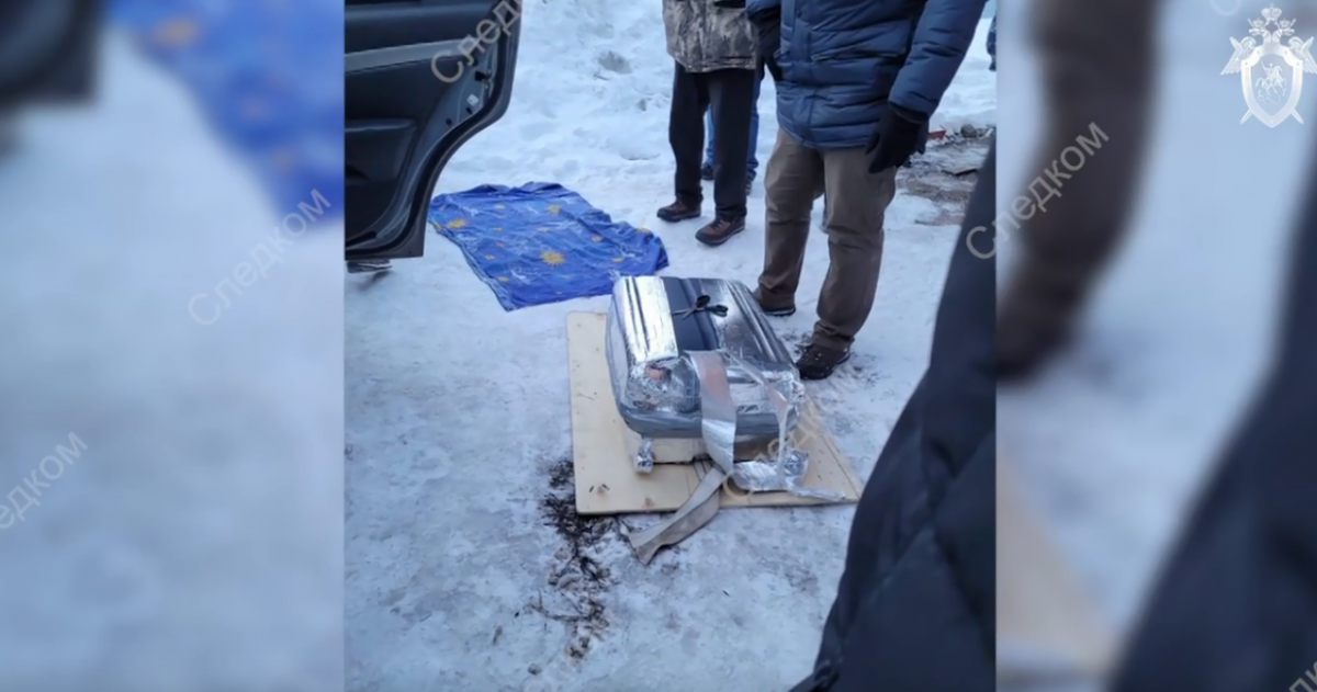Пропавшая резка. Останки девушки в чемодане. Гретта Ведлер тело в чемодане